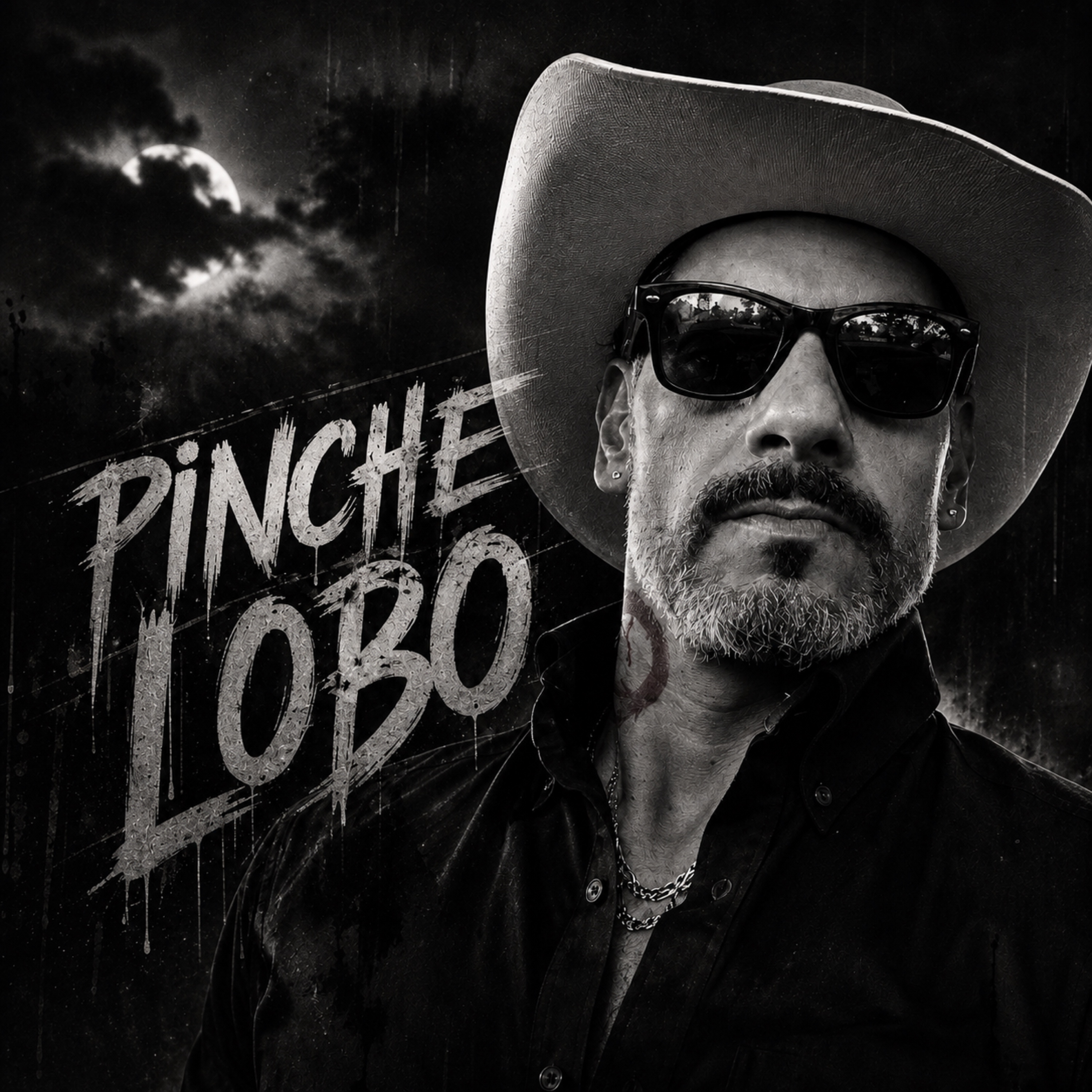 Portada de Pinche Lobo